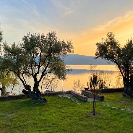 Seafront Traditional Stone House In Sunset Olive Grove - B Villa Alyfanta Kültér fotó