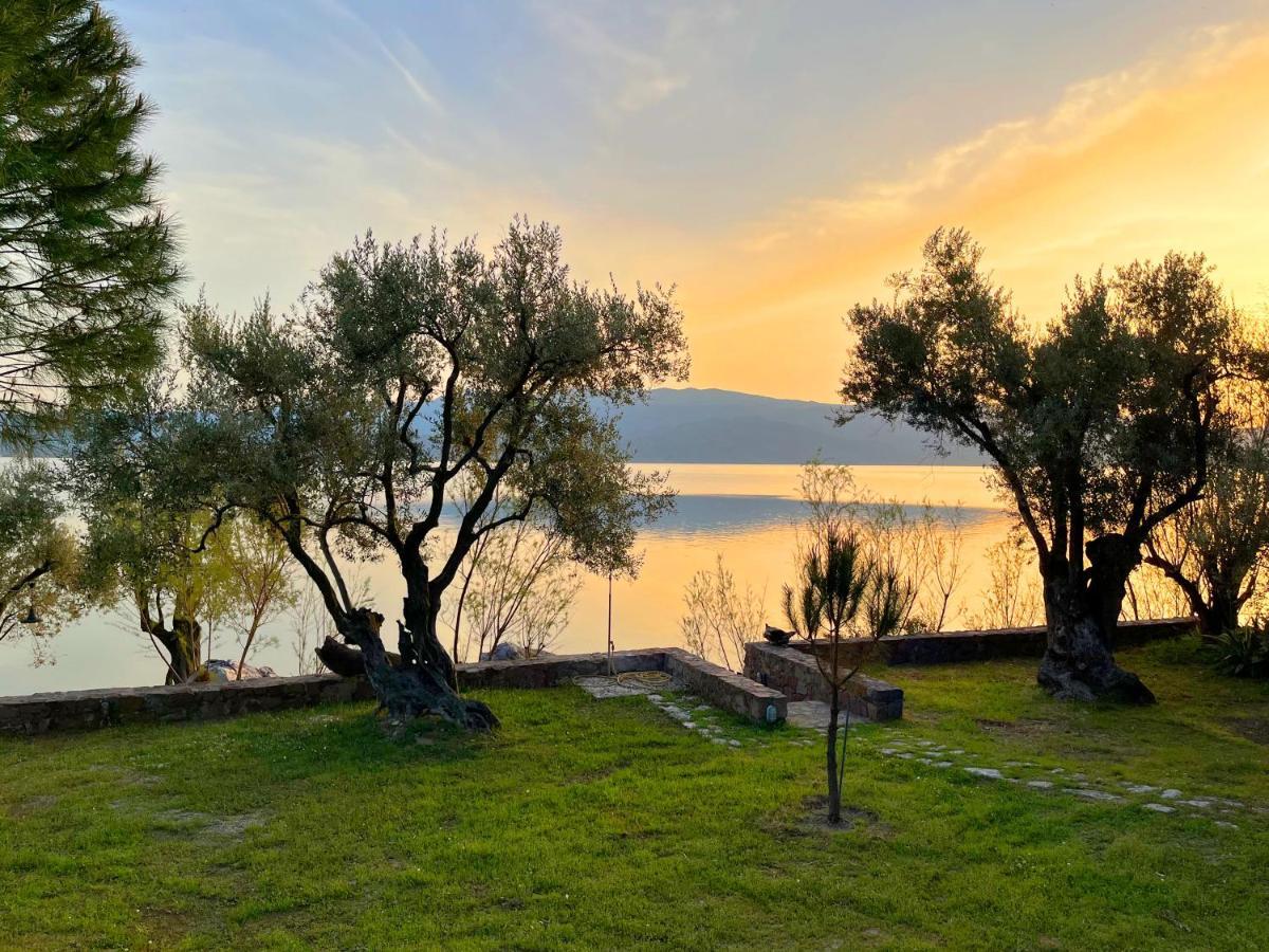 Seafront Traditional Stone House In Sunset Olive Grove - B Alyfanta Kültér fotó