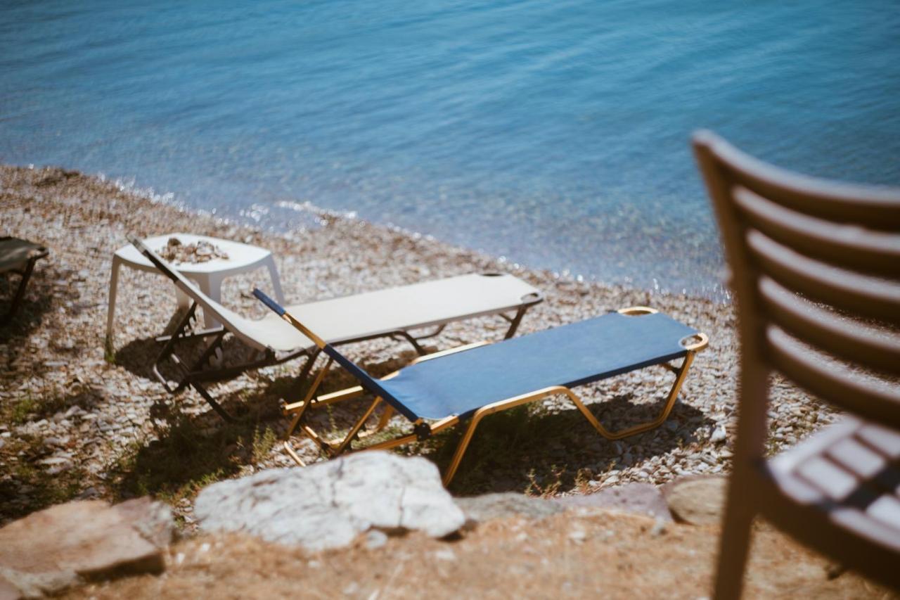 Seafront Traditional Stone House In Sunset Olive Grove - B Alyfanta Kültér fotó