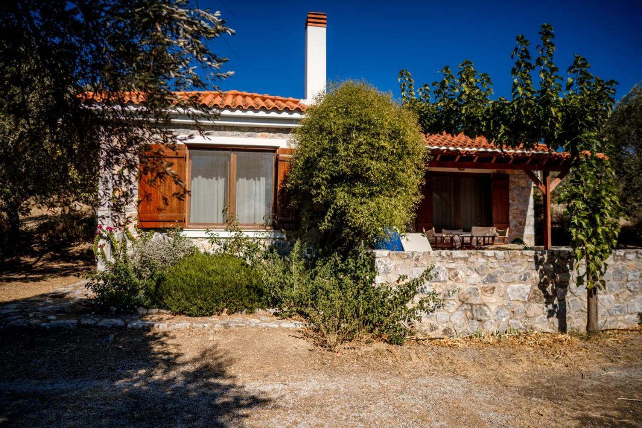 Seafront Traditional Stone House In Sunset Olive Grove - B Alyfanta Kültér fotó