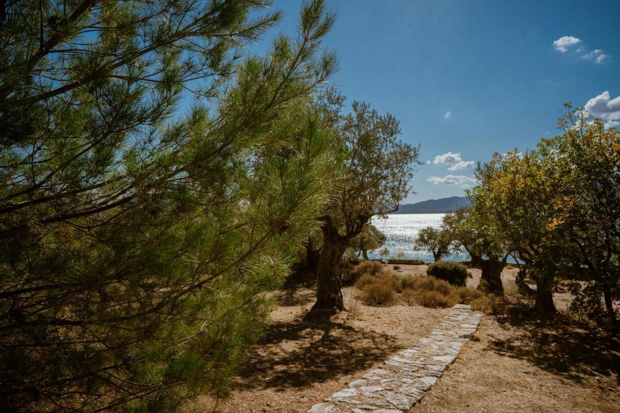 Seafront Traditional Stone House In Sunset Olive Grove - B Alyfanta Kültér fotó