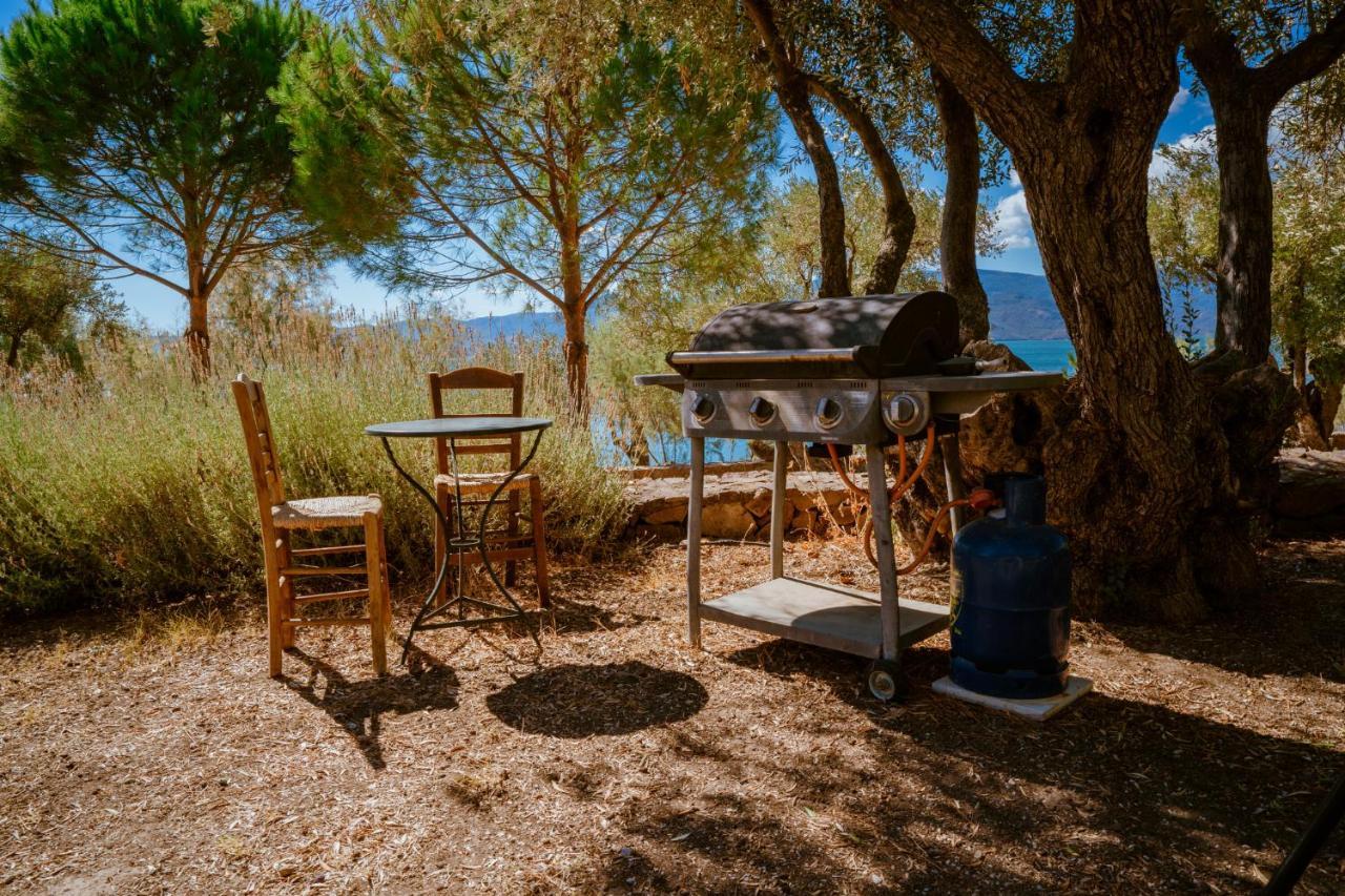 Seafront Traditional Stone House In Sunset Olive Grove - B Villa Alyfanta Kültér fotó